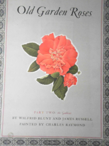 BLUNT, Wilfrid & RUSSELL, James - Old garden roses, part II: the Gallicas