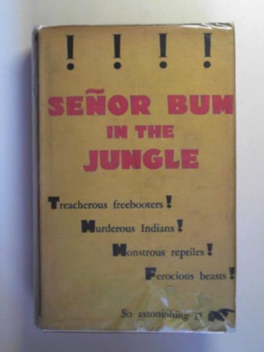 SAND, Algo - Senor Bum in the jungle