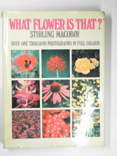 MACOBOY, Stirling - What flower is that