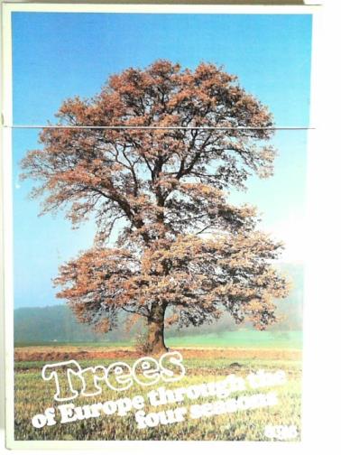  - Trees of Europe through the four seasons