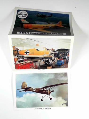 RABY, Alister - Fighter Wing Display Team souvenir brochure
