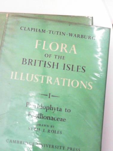 CLAPHAM, A. R. & others - Flora of the British Isles illustrations (4 vols.)