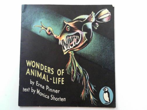 SHORTEN, Monica - Wonders of animal life