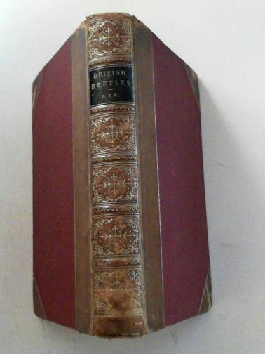 RYE, E. C. - British beetles: an introduction to the study of our indigenous Coleoptera